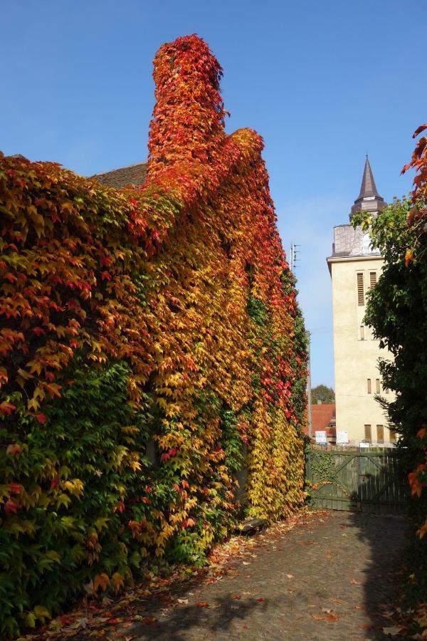 Vila Dom W Bluszczu Kaszczor Exteriér fotografie